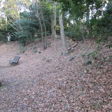 前ヶ崎城址土塁