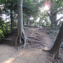 前ヶ崎城址櫓台跡