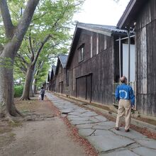 ケヤキ並木に寄り添う倉庫群