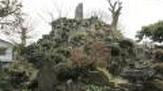 流山散策・城探訪で浅間神社に行きミニ富士登山をして来ました