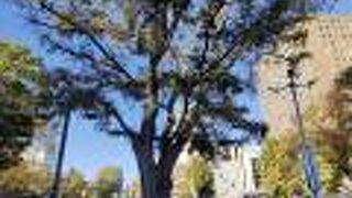 解説板とかがない