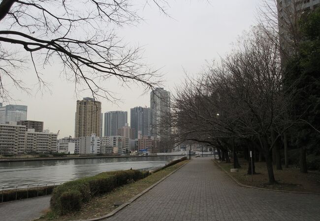 川面をふく風に吹かれながら、隅田川を挟んで佃島の景観を楽しむことが出来ました。