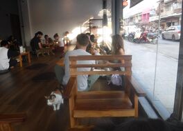 Cat 'n' A Cup Cat Cafe