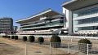 立派な競馬場