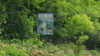 のどかな景色を見ながら