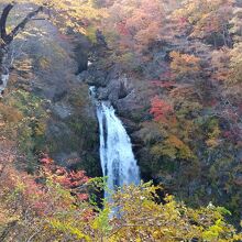 紅葉の向こうに見える名瀑