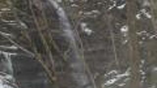 奥入瀬渓流白絹の滝