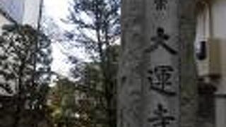 参道沿いの照明は、独特なデザインでした