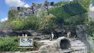 空に近い水族館