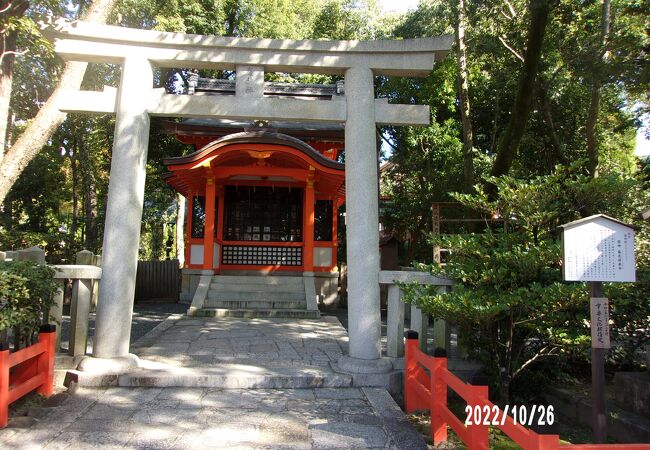 鳥居に茅の輪を設置して厄除を祈願します。