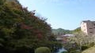 中国の古陶磁器の展示