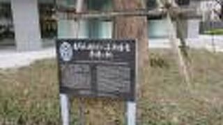 領土領海を守るためには、正確な海図は必要不可欠なのだと感じました。