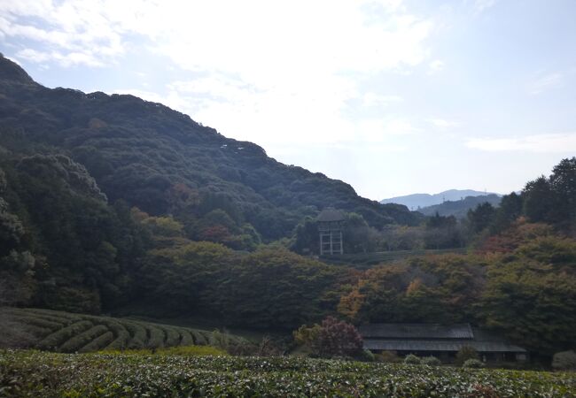 紅葉も始まっていました