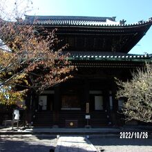 知恩院 阿弥陀堂