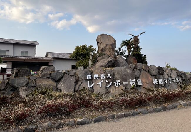 桜島港