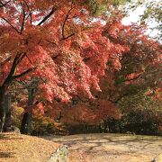 秋の紅葉シーズンは亀山地区が最も見事