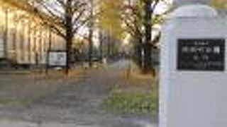 震災、戦災に目を背けるわけにはいかない