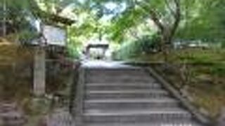 門からの参道は整備された美しいものです。