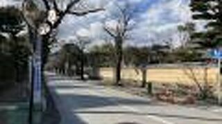 小田原文学館に向かう途中