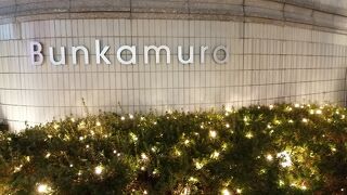 美術家や映画館、劇場など、まさに文化の殿堂でした。