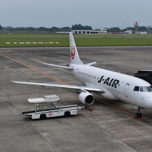 飛行機の様子も間近で見えます。