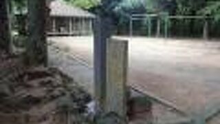 石をジ～～ッと眺めてしまいました。