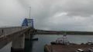 大きな橋です！