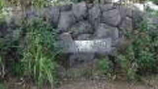 広い公園で、よく整備されています。