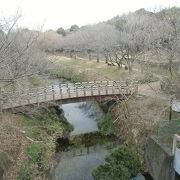 花、水に恵まれた緑の公園という印象