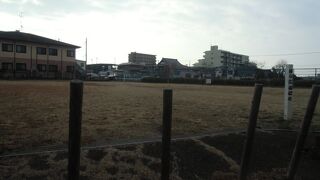 遊ばせておくより、有効活用はないのか