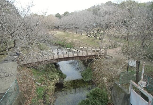 花、水に恵まれた緑の公園という印象