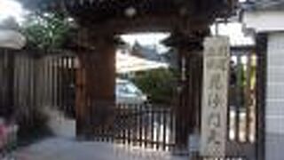 本堂の天井画は伊藤若冲の花卉図です。