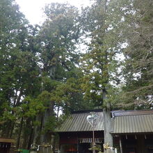 元々はこちら諏訪神社の敷地だったとか