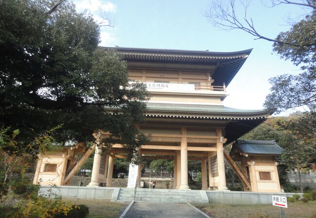 庭園だけでなく、本堂や書院なども見学できる