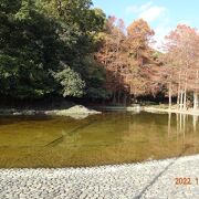 公園の中を散策して城山にも上ってみました。