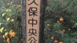 大久保中央公園