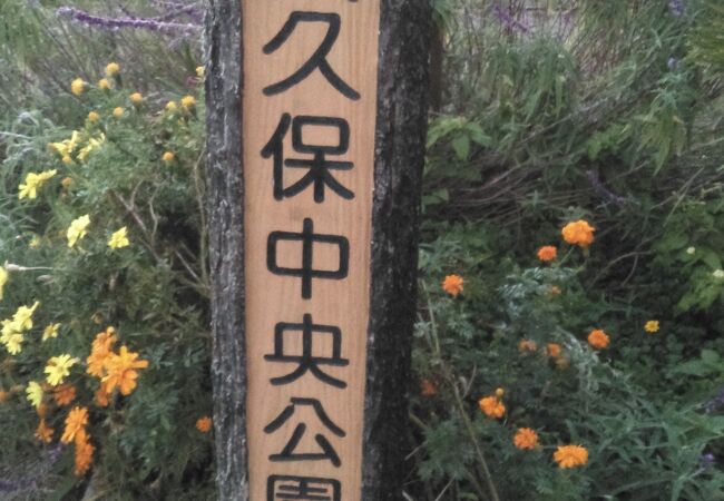 大久保中央公園