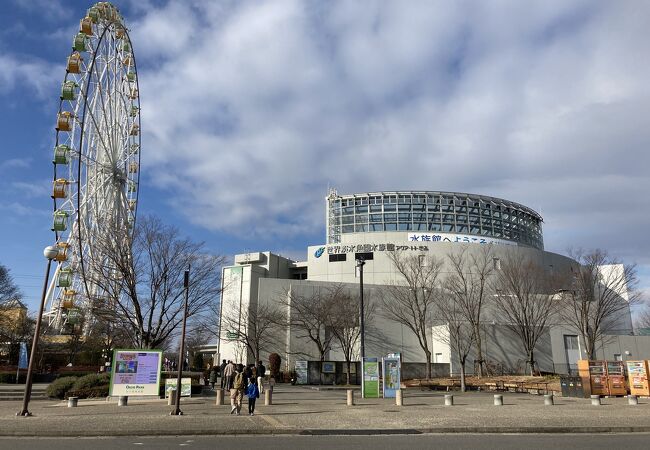 水族館や観覧車だけじゃない