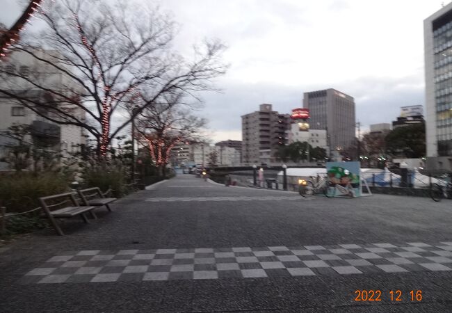 この公園のある両国橋の近くに、ひょうたん島クルーズ船が出ていました。