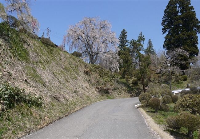 双松公園