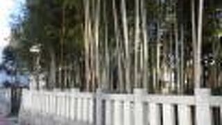 どこか不思議な雰囲気も感じました