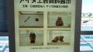 アイヌ工芸資料展示