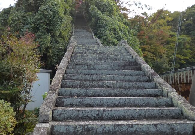 浜町の風景を見渡せます