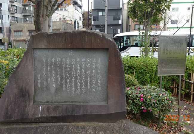 この歌碑は達筆な文字で書かれていますが、作詞された武島羽衣自身の自筆歌詞が刻まれているようです。