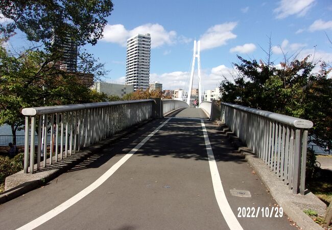 自転車および歩行者専用橋です。