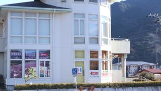 河津さくらまつりがスタートします