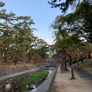 さくら名所100選！桜の名所で有名な公園！さくら夙川駅からゆっくり散歩