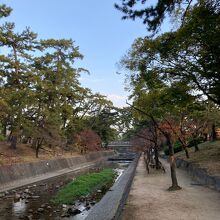 夙川公園です。