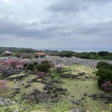 乗馬訓練をしていた場所です。