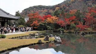 京都嵐山へ行くときはセット観光